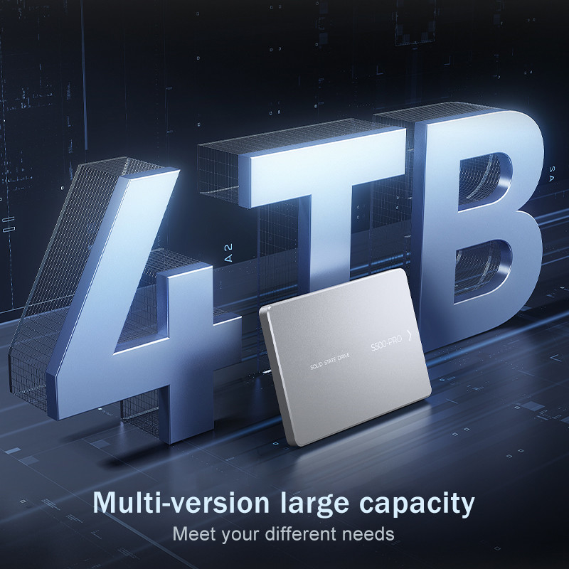 Bis zu 4 TB SSD Stoßbeständigkeit 350G bei 0,5 ms 0°C bis 55°C Stoßbeständig